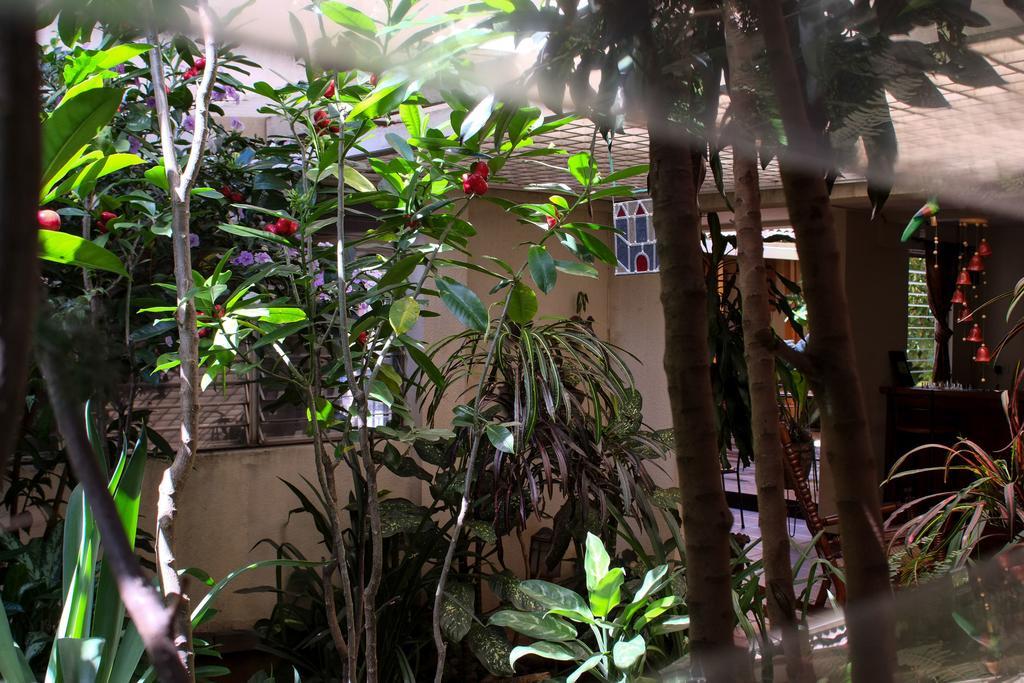 Hostal La Buena Onda Matagalpa Exterior foto